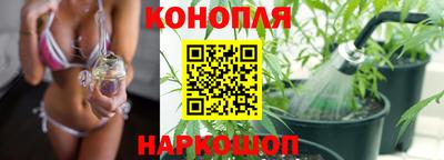 сатива Бузулук