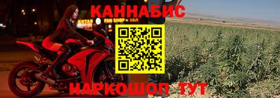 сатива Бузулук