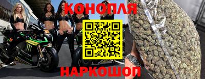 сатива Бузулук