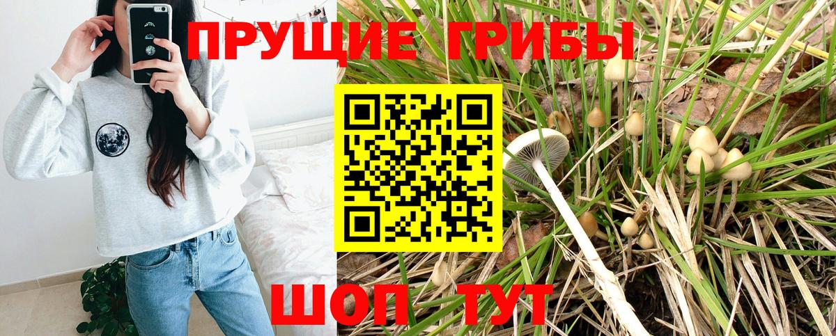 Псилоцибиновые грибы прущие грибы  Вход с VPN  Псилоцибиновые грибы мицелий  Коряжма 